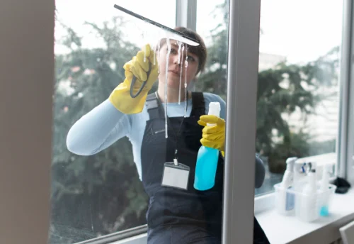 Nettoyage de vitres intérieures et extérieures à Montagnat